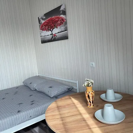 Vip * Mukacheve